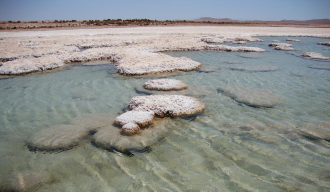 The Atacama Desert’s diamonds in the rough