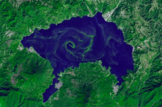 Illegal logging near Peru-Brazil border, invasive South American fire ants, and trust funds for water in Latin America.