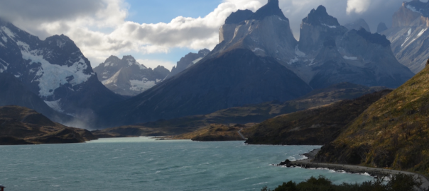 Invasive plants reaching new elevations in Chile