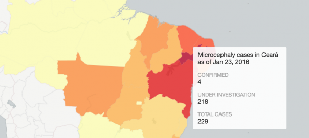 Mapping the distribution of microcephaly cases in Brazil