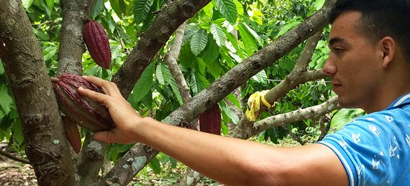 Upcycling cacao waste into new products in Colombia